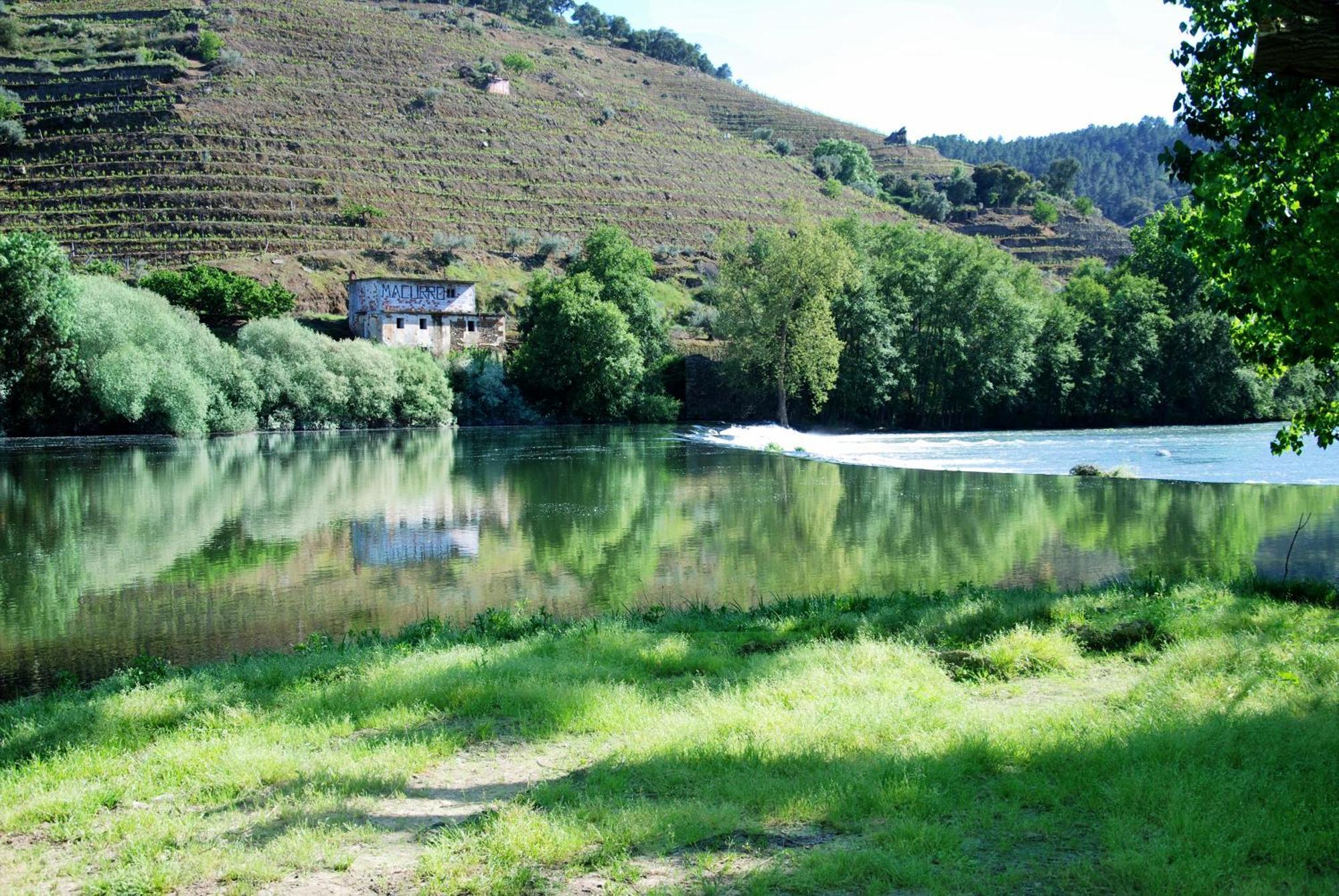 Villa Casa Oliveiras Do Douro Sobreira Exterior foto